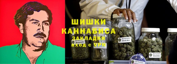 ешки Иннополис