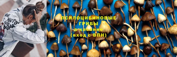 эйфоретик Зеленокумск