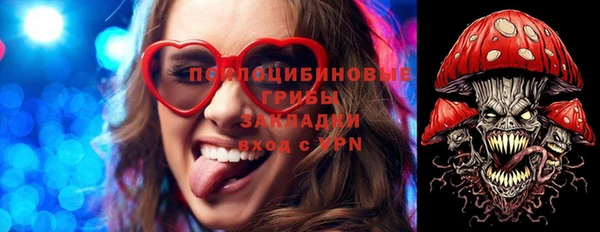 тгк Инта