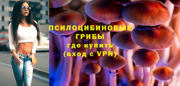 тгк Инта