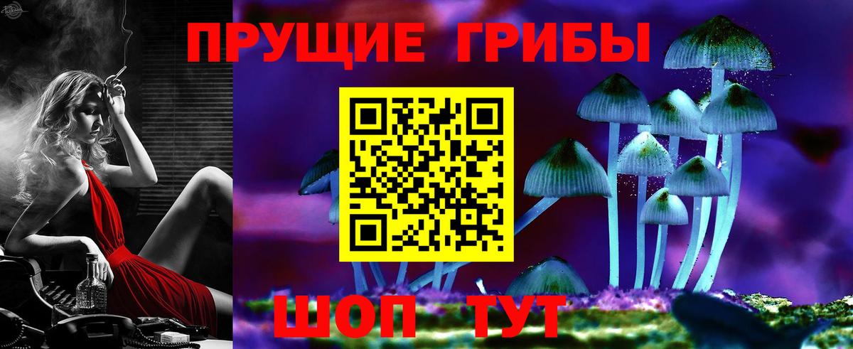 Курганинск  Галлюциногенные грибы мицелий  Вход с VPN  Псилоцибиновые грибы ЛСД 